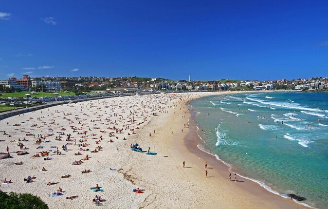 Bondi Beach Walking Tour With Optional Bondi to Bronte Coastal Walk - Key Points