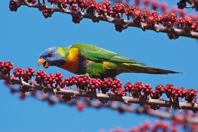 Boutique Atherton Tablelands Small-Group Food and Wine Tasting Tour From Cairns - Key Points