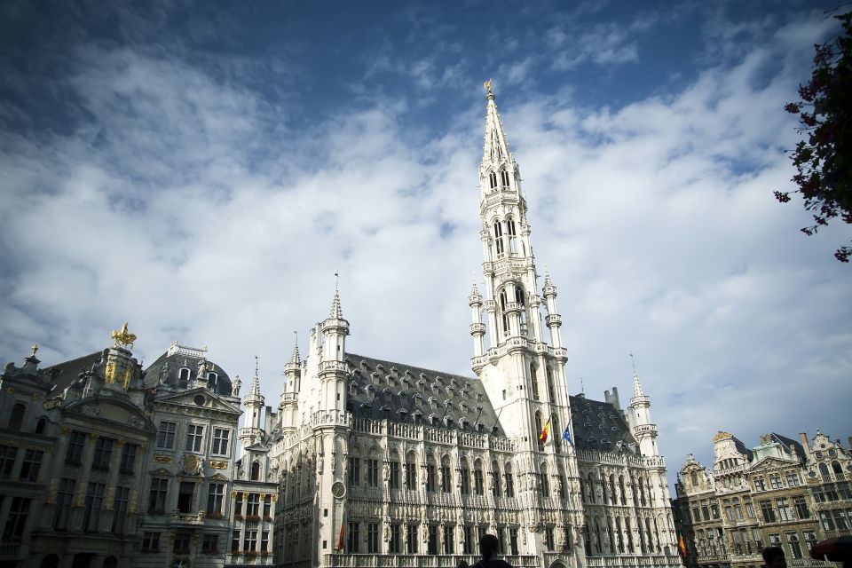 Brussels: Private Tour With a Local - Key Points
