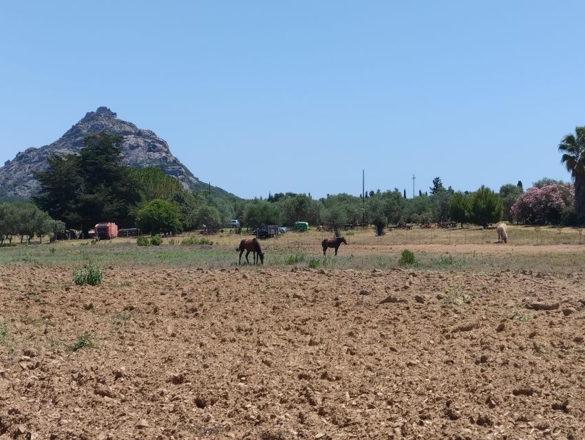 Cheese Making and Tasting Tour From Cagliari With Lunch - Key Points