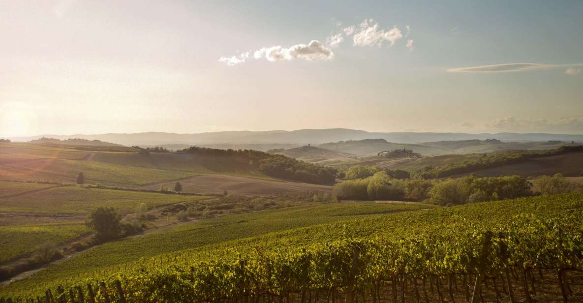 Chianti Classico and Super Tuscan Wine Tour - Key Points