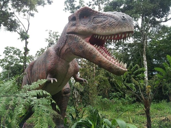 Combo Tour Blue River, Botanical Garden, Hot Springs, and Dino Park - Key Points