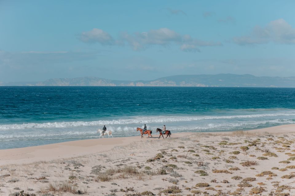 Comporta: Guided Horseback Riding Experience - Key Points