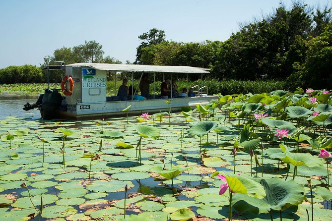 Corroboree Billabong Wetland Cruises - 1.5 Hour Morning Cruise - Key Points