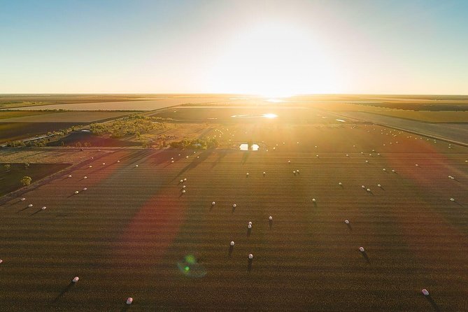 Discover Farming in Goondiwindi