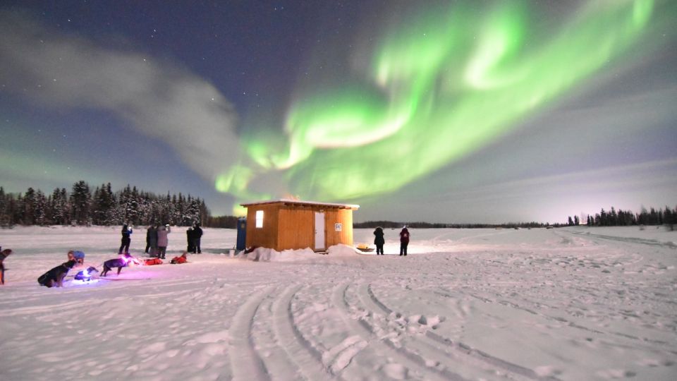 Fairbanks: Dog Sledding and Mushing Experience - Experience Details