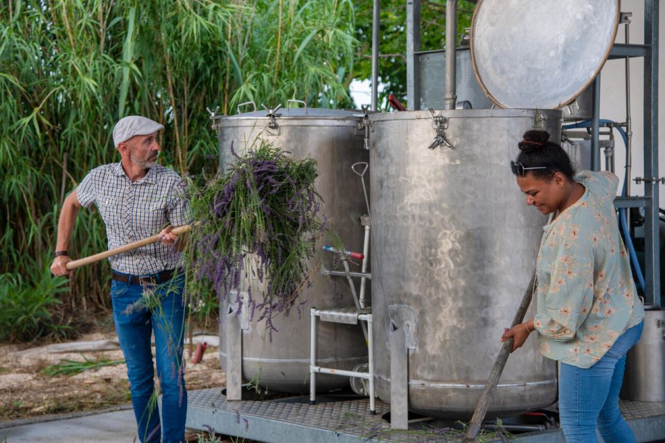 Flowers Picking and Essential Oil Distillation Workshop - Key Points