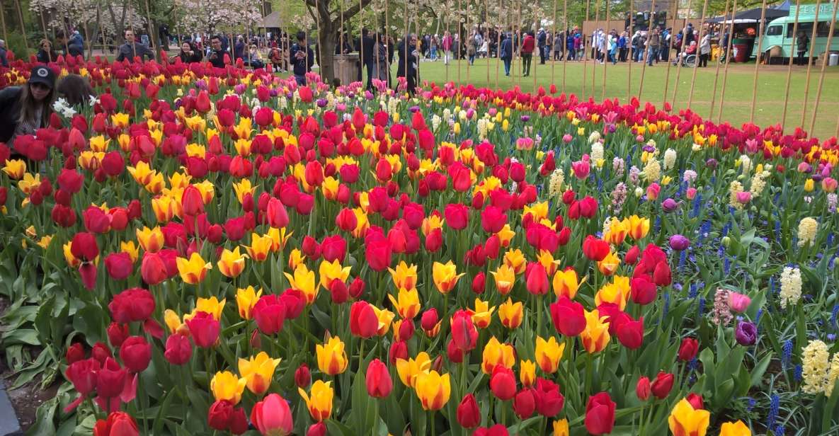 From Amsterdam: Keukenhof and Zaanse Schans Small Group Tour - Key Points