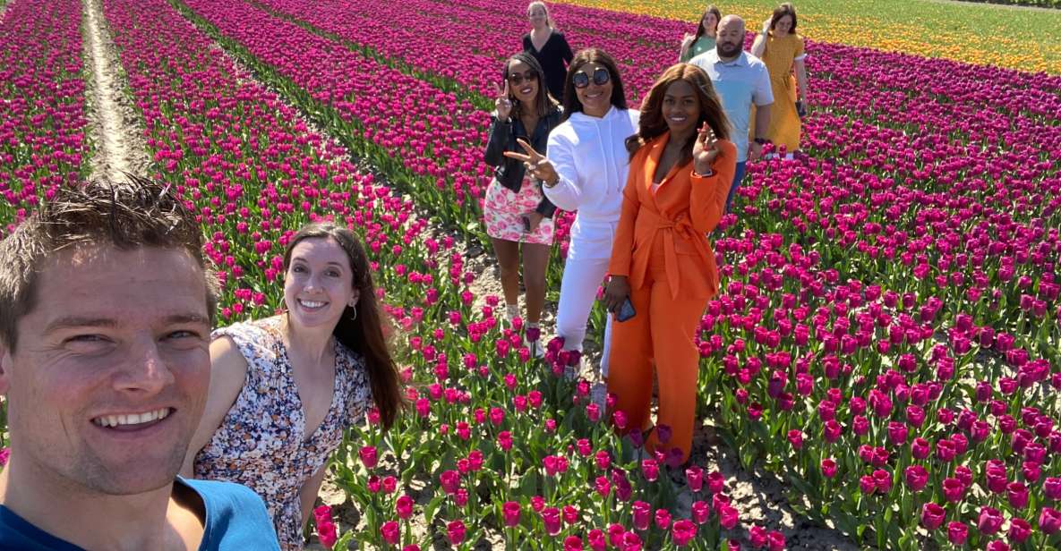 From Amsterdam: Tulip Fields and Windmill Tour With Lunch - Tour Overview