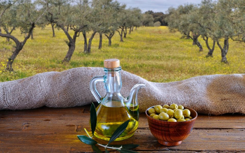 From Athens: Olive Oil Production & Wine Private Day Trip - Key Points