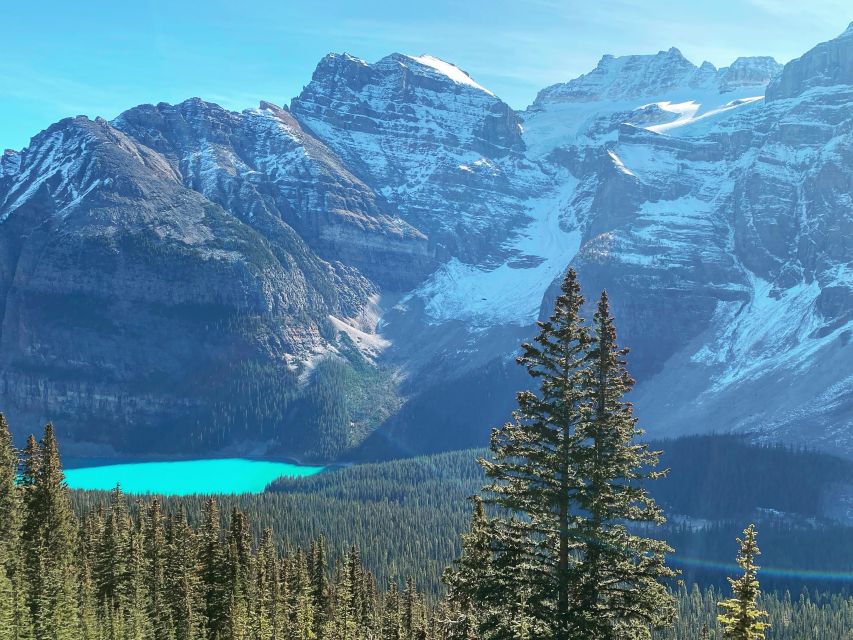 From Banff or Lake Louise: Moraine Lake & Larch Valley Hike - Key Points