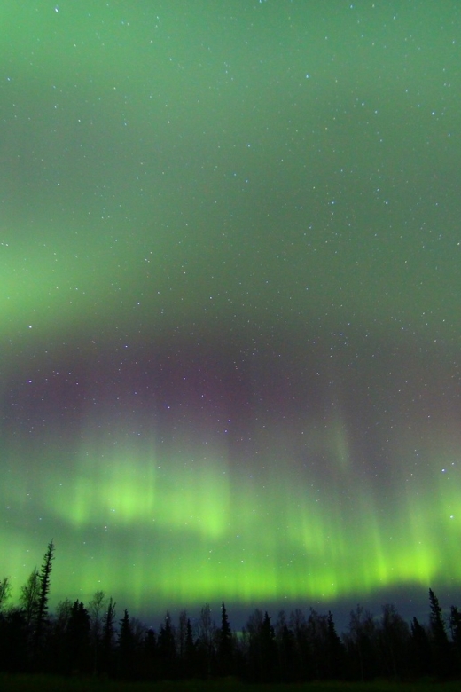 From Fairbanks: Northern Lights & Murphy Dome Tour - Tour Highlights