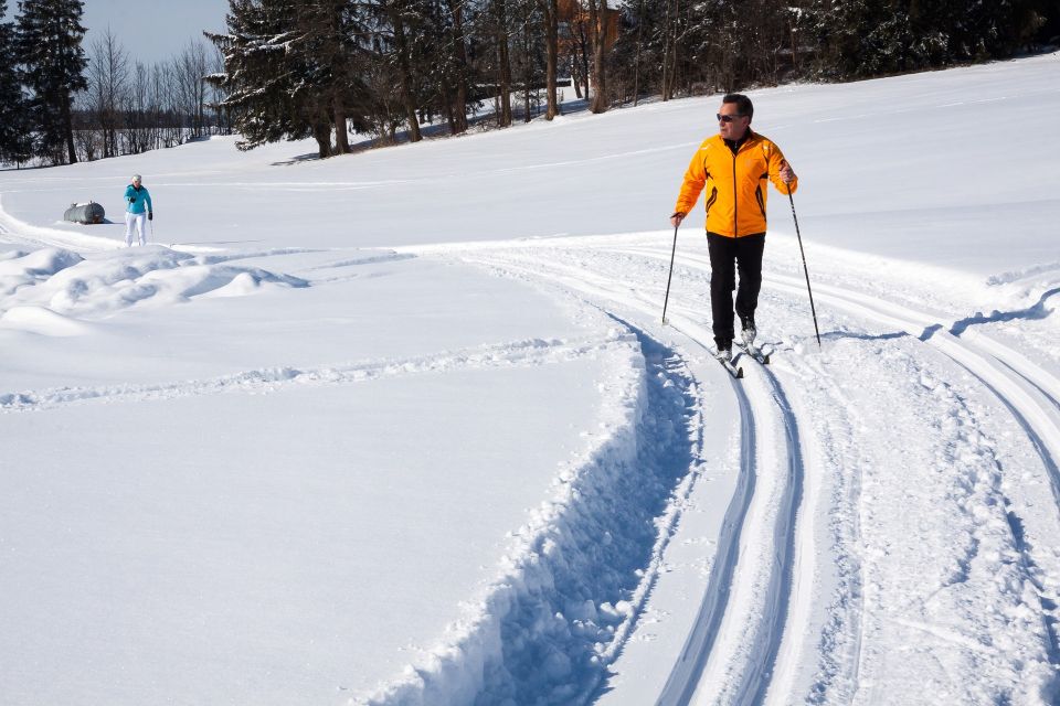 From Gardiner: Guided Yellowstone Cross-Country Skiing Tour - Key Points