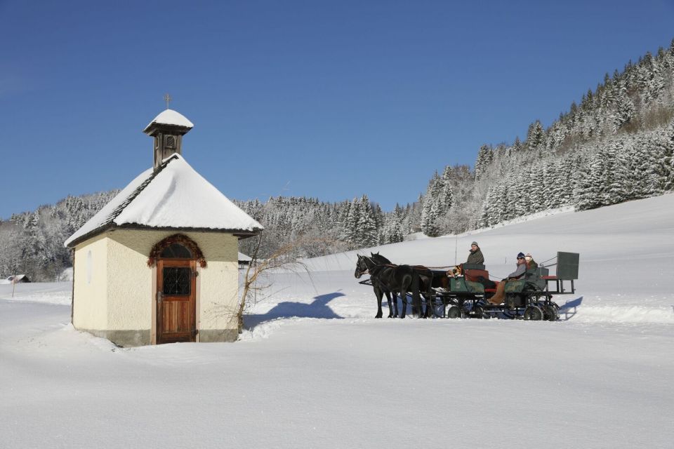 From Salzburg: 8-Hour Tour With Horse-Drawn Sleigh Ride - Key Points