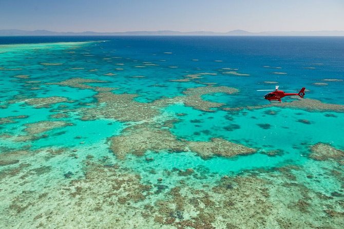 Full Day Reef Cruise and 10 Minute Helicopter Scenic Flight - Reef Cruise and Diving Options