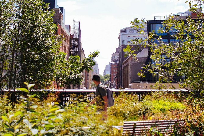 High Line and Chelsea Small Group Tour - Key Points