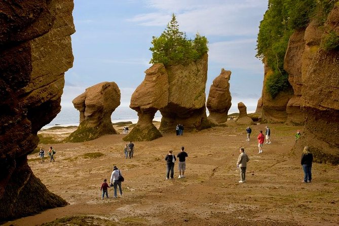 Hopewell Rocks Admission - Key Points