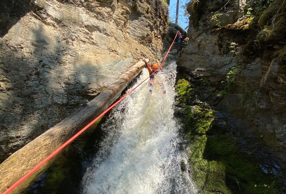 Kelowna: Okanagan Canyoning Tour - Key Points