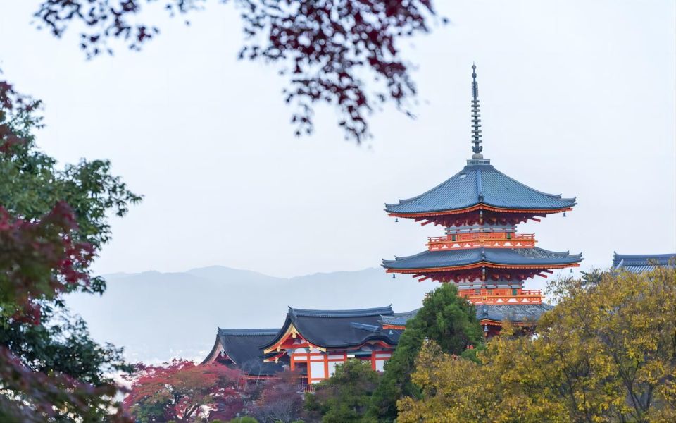 Kyoto: Customizable Private Tour With Hotel Transfers - Key Points