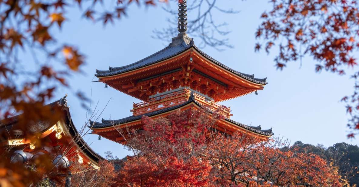 Kyoto: Personalized Guided Private Tour - Key Points