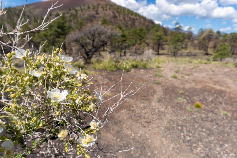 La Sal Mountain: Scenic Self-Guided Driving Audio Tour - Key Points