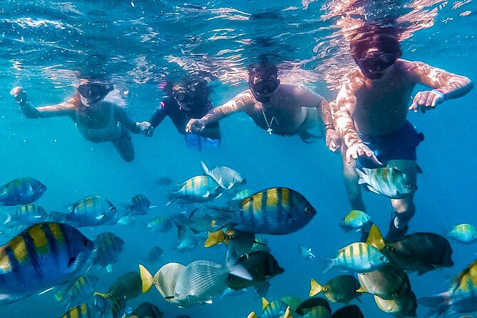 Los Cabos Snorkeling Tour by Speed Boat With Photos Included