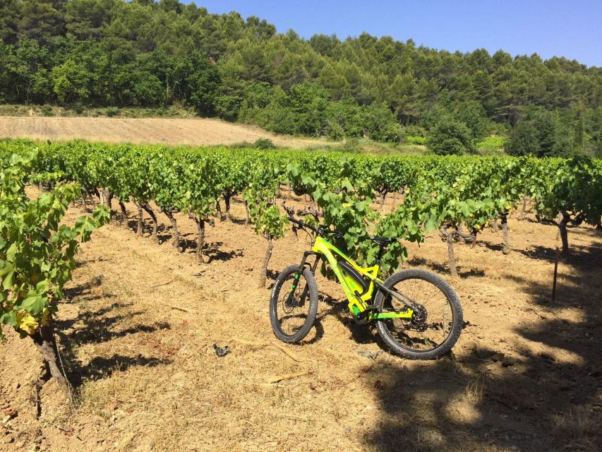 Luberon: Goult Vineyard Bike Tour - Key Points