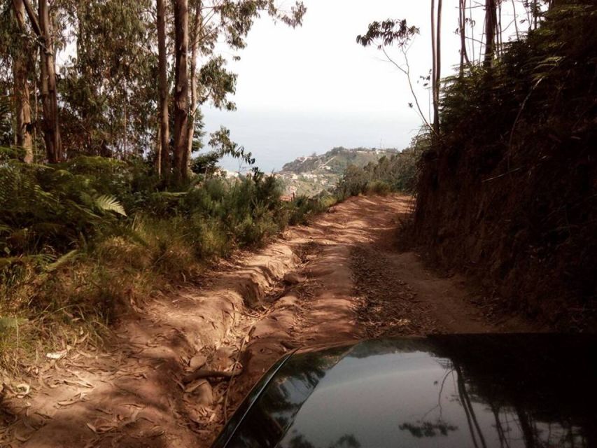Madeira 2 Full-Day & 1 Half-Day 4x4 Jipe Special Tour Combo - Key Points
