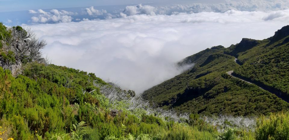 Madeira: Private Guided Achadas Teixeira - Pico Ruivo PR1.1 - Key Points