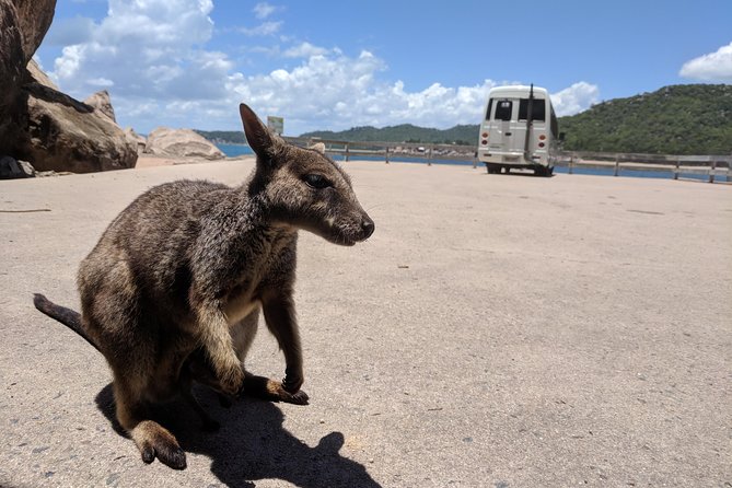 Magnetic Island Tour: Maggie Comprehensive - Key Points