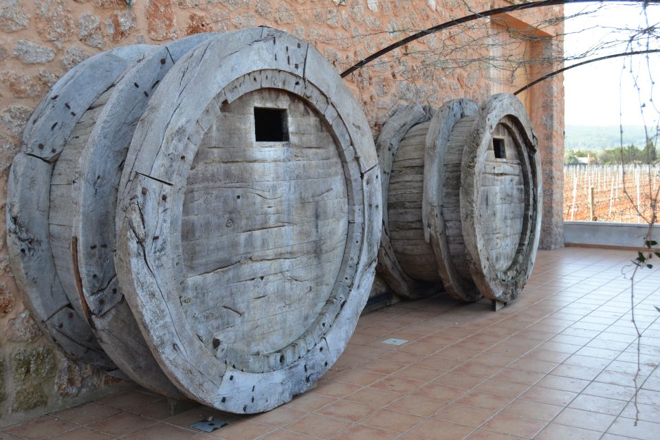 Mallorca: Wine Cellar Tour XL - 3 Wine Tastings Included - Key Points