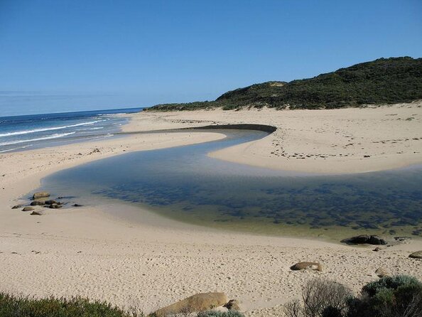 Margaret River Canoe Tour Including Lunch - Key Points