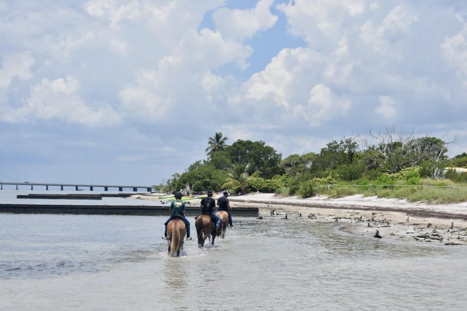 Miami: Beach Horse Ride & Nature Trail - Key Points