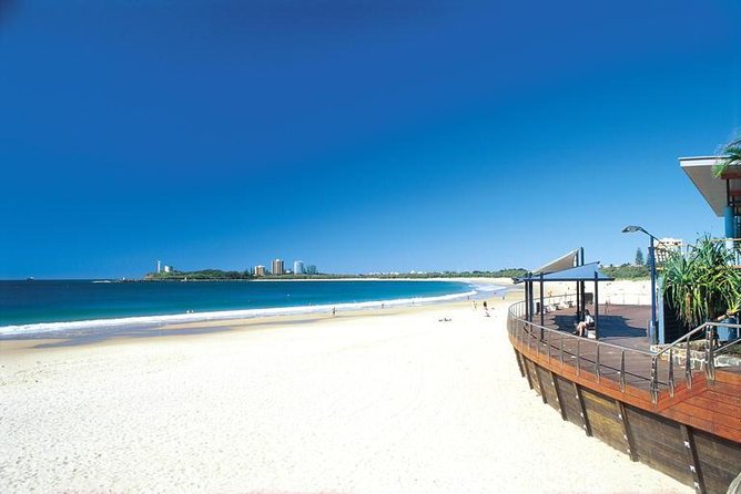 Mooloolaba Whale Watching Cruise - Key Points