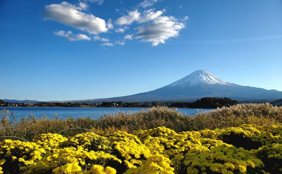 Mt Fuji: Full Day Private Tour With English Guide - Key Points