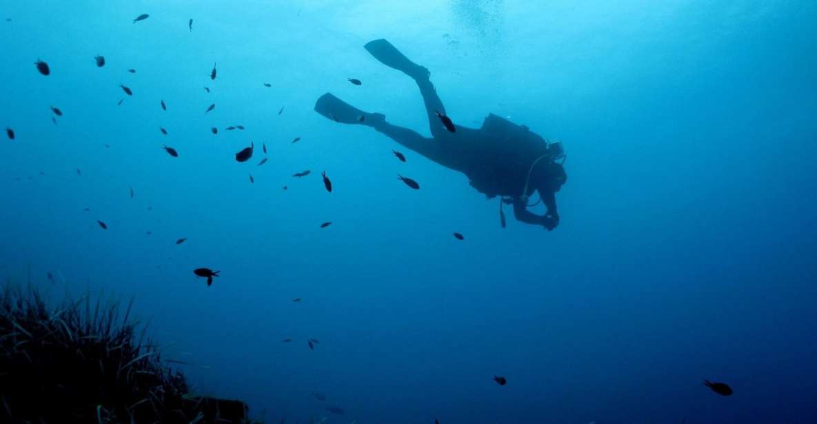 Nea Makri: Open-Water Diving Advanced PADI Course - Key Points