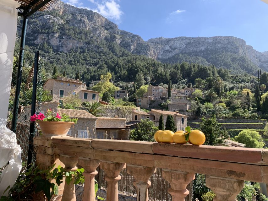 On the Trail of Miro in Mallorca - Key Points