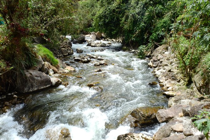 Papallacta Hot Spring, Guango Birdwatching Reserve Private Tour - Tour Highlights and Inclusions