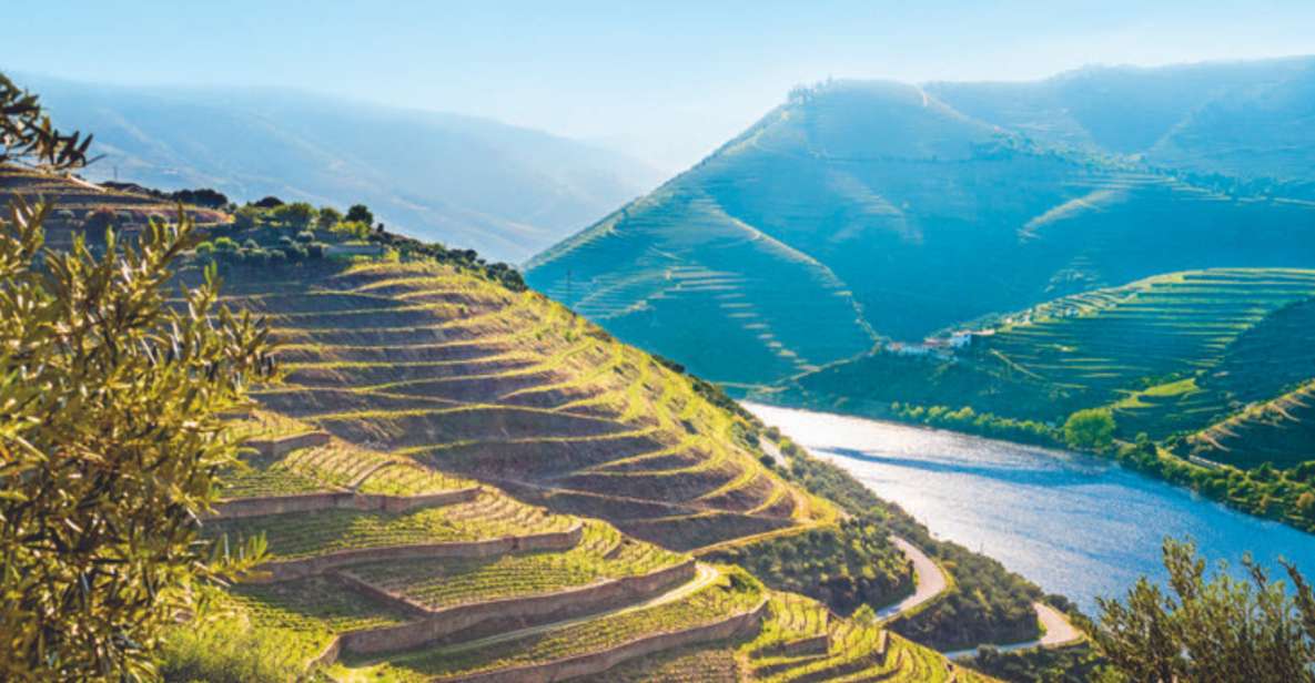 Porto: Private Douro Valley Tour, Yacth, Wine Taste & Lunch - Key Points