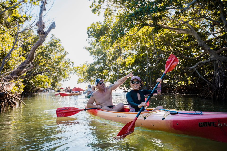 Premium Day Sail, Snorkel &, Kayak With Lunch - Activity Details