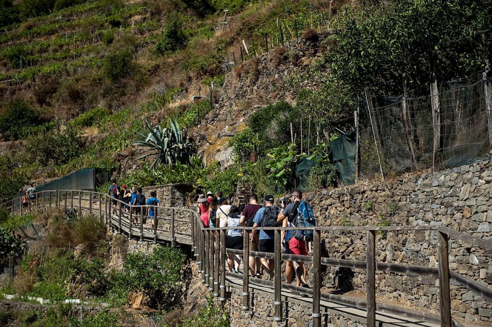 Private Cinque Terre Tour From Florence With Optional Hike - Key Points