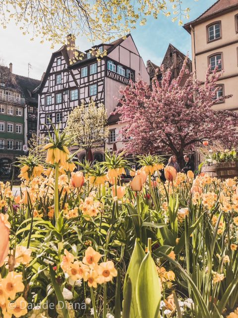 Private Gastronomic Tour of Strasbourg - Key Points