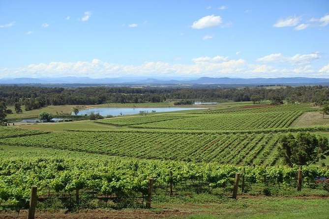 Private Hunter Valley Wine-Tasting Day Tour From Sydney