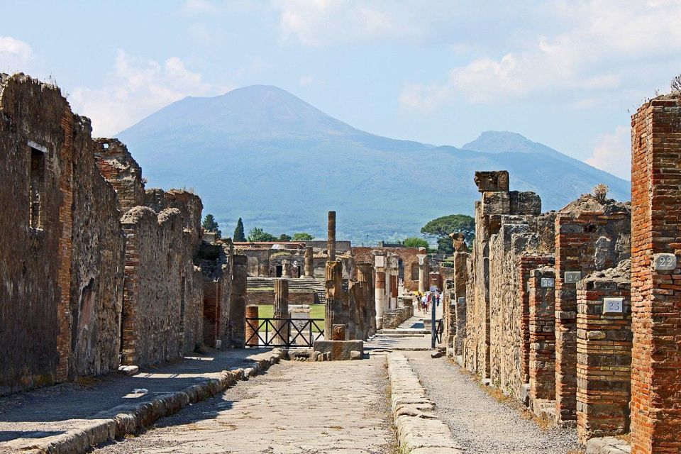 Private Tour Pompeii+Mont. Vesuvius - Key Points