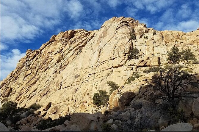 Rock Climbing Half-Day in Mammoth Lakes, California