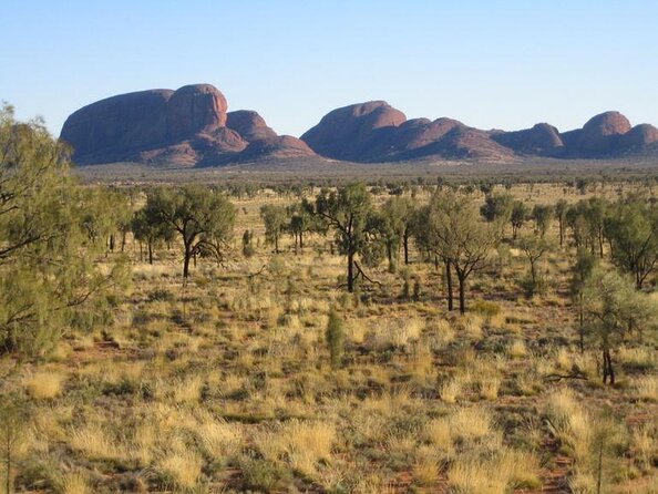 Scenic Plane Flight: The Ultimate Outback Adventure