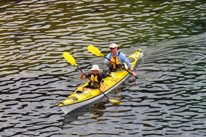 Self-Guided Sydney Middle Harbour Kayak 3 Hour Tour by Double Kayak - Key Points