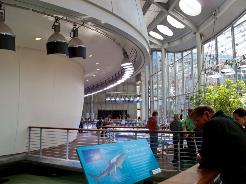 SF: Hop-On Hop-Off Bus Tour & California Academy of Sciences - Pricing and Duration