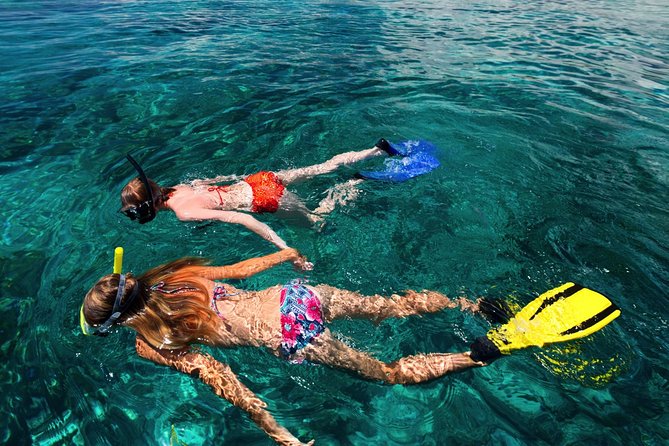 Snorkel the Perfect Tropical Isle Silk Caye With Turtles, Rays and Sharks - Tour Inclusions