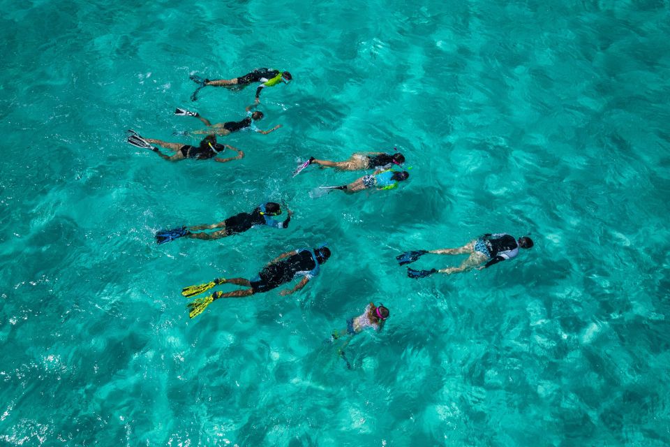 Snorkeling Trips in Amorgos - Key Points